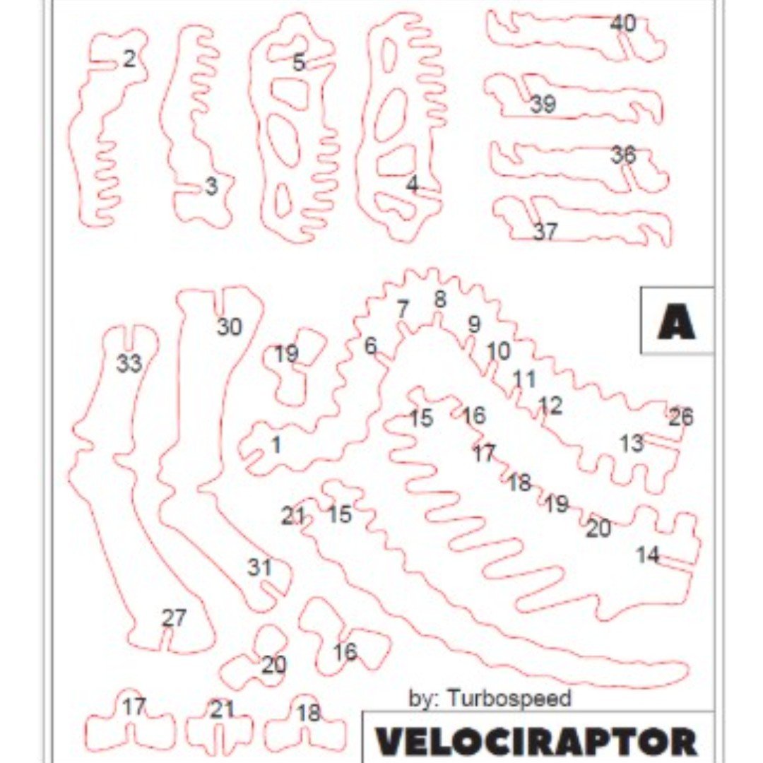 Kit Card Velociraptor